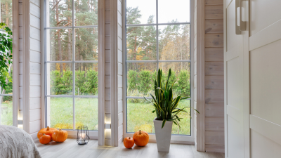 pumpkins in front of windows