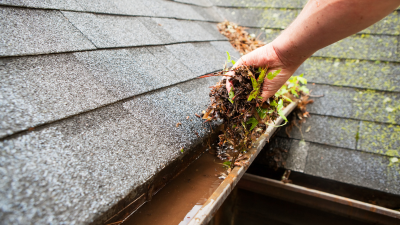 clean fall gutters